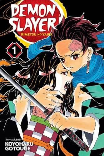 Demon Slayer Vol 1 Ex Library - 