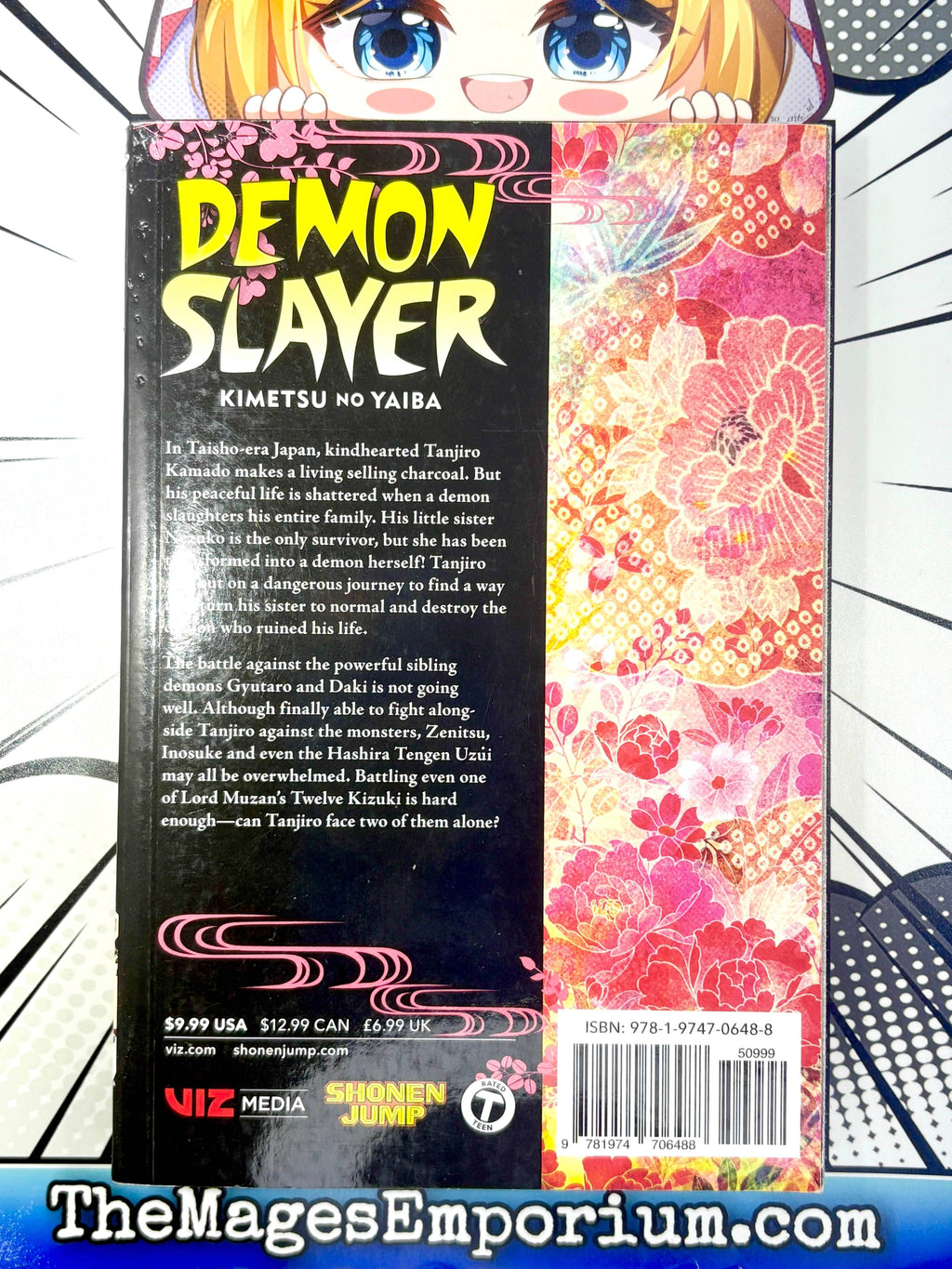 Demon Slayer Vol 11 - 