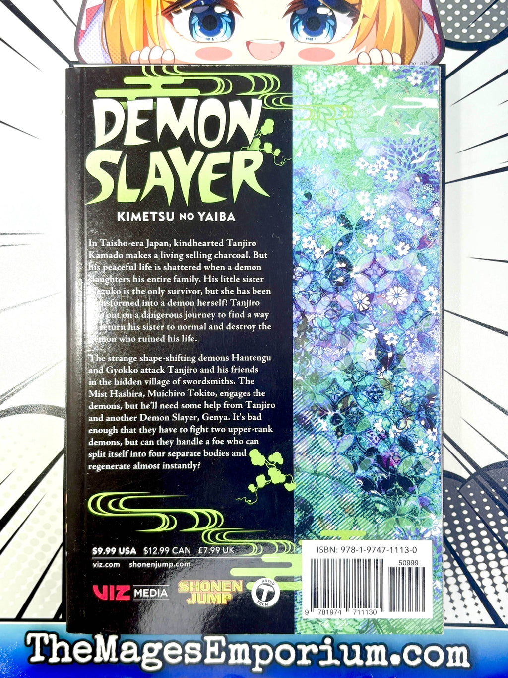 Demon Slayer Vol 13 - 