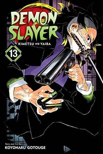 Demon Slayer Vol 13 - 