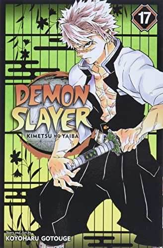 Demon Slayer Vol 17 - 
