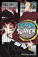 Demon Slayer Vol 20 - 
