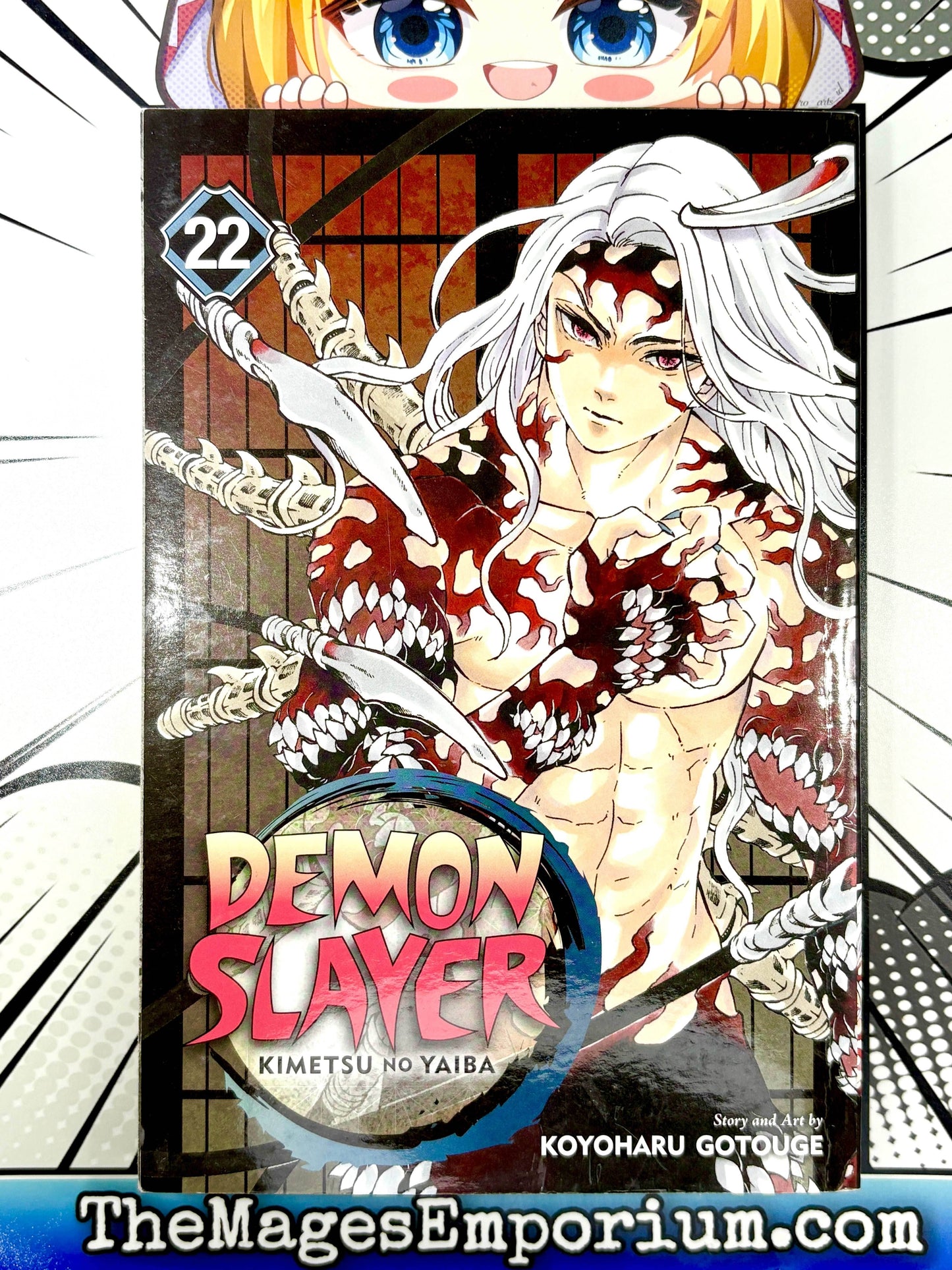 Demon Slayer Vol 22 - 