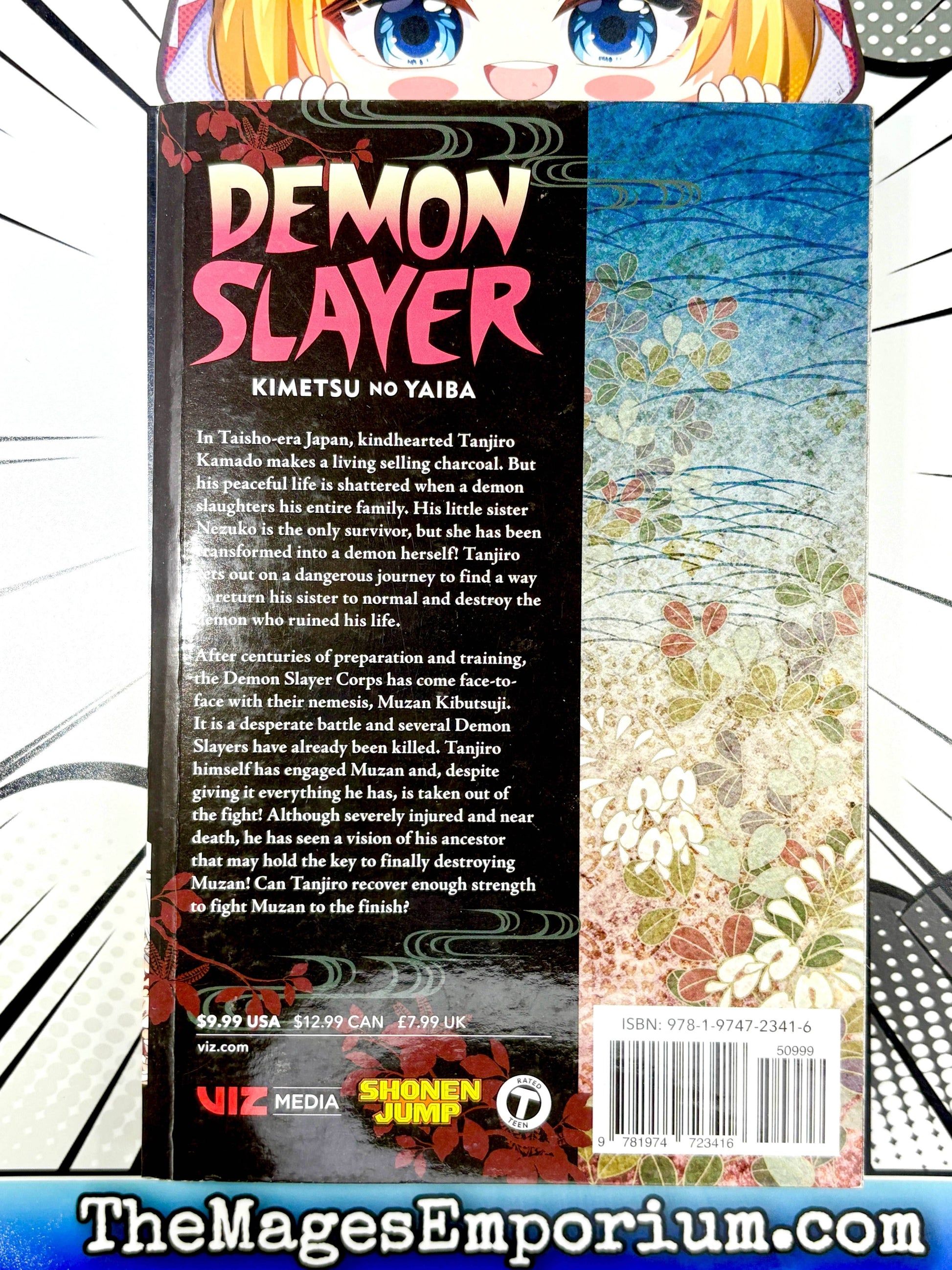 Demon Slayer Vol 22 - 