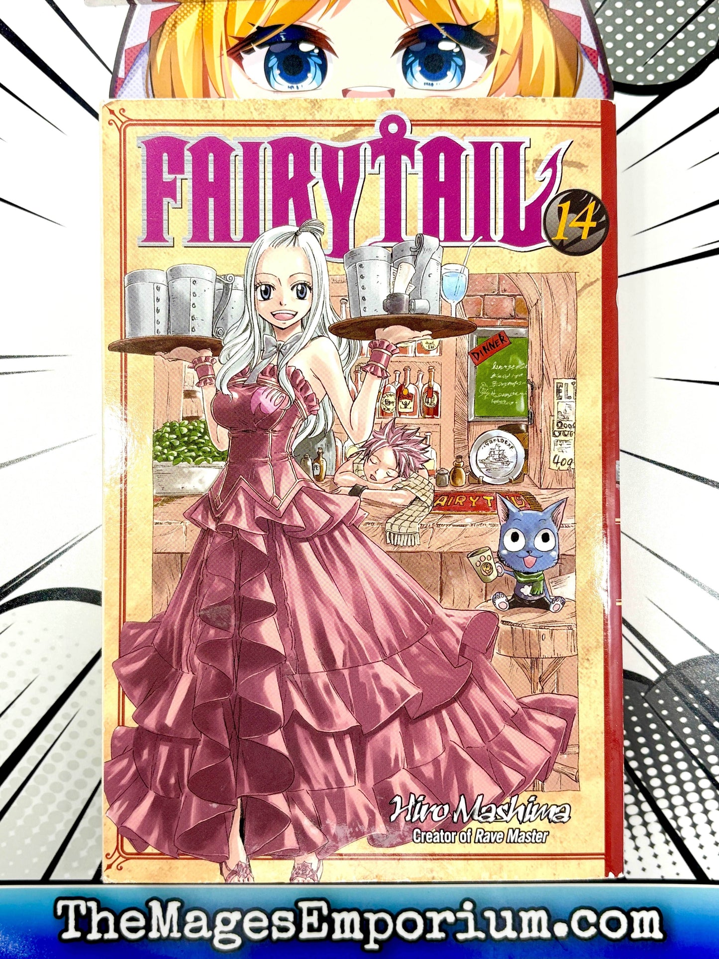 Fairy Tail Vol 14 - 