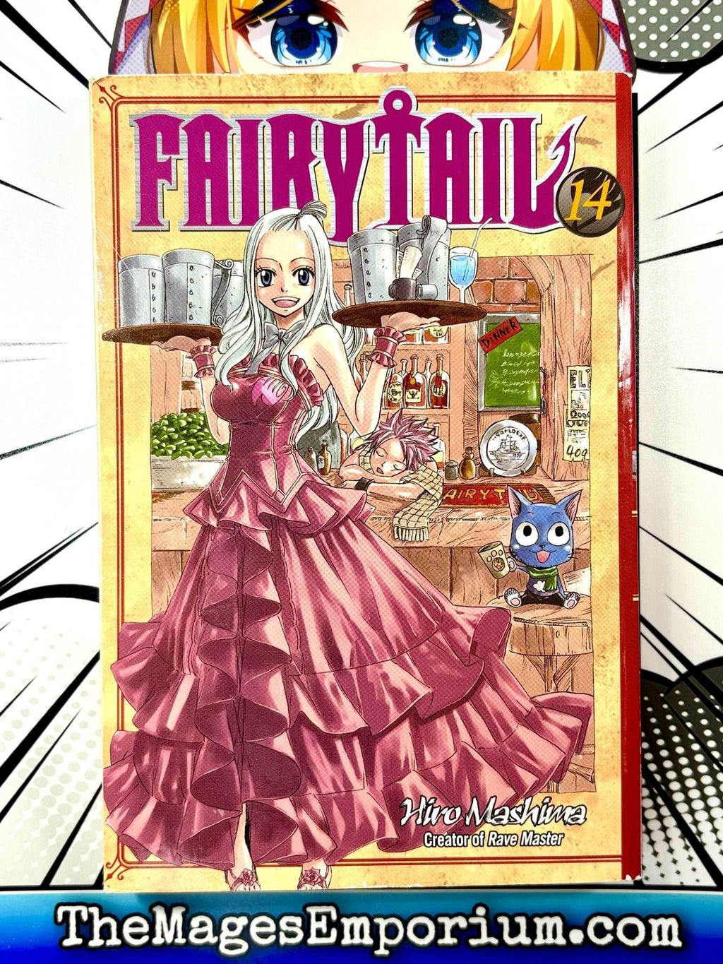 Fairy Tail Vol 14 Five Below Cover - 