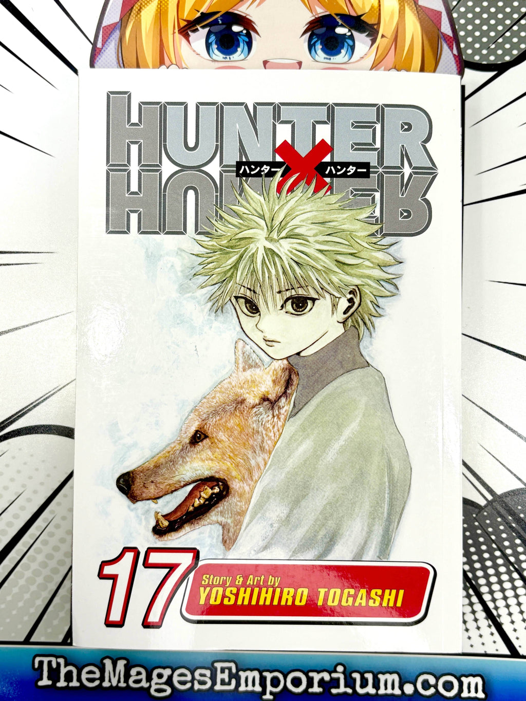 Hunter x Hunter Vol 17 - 