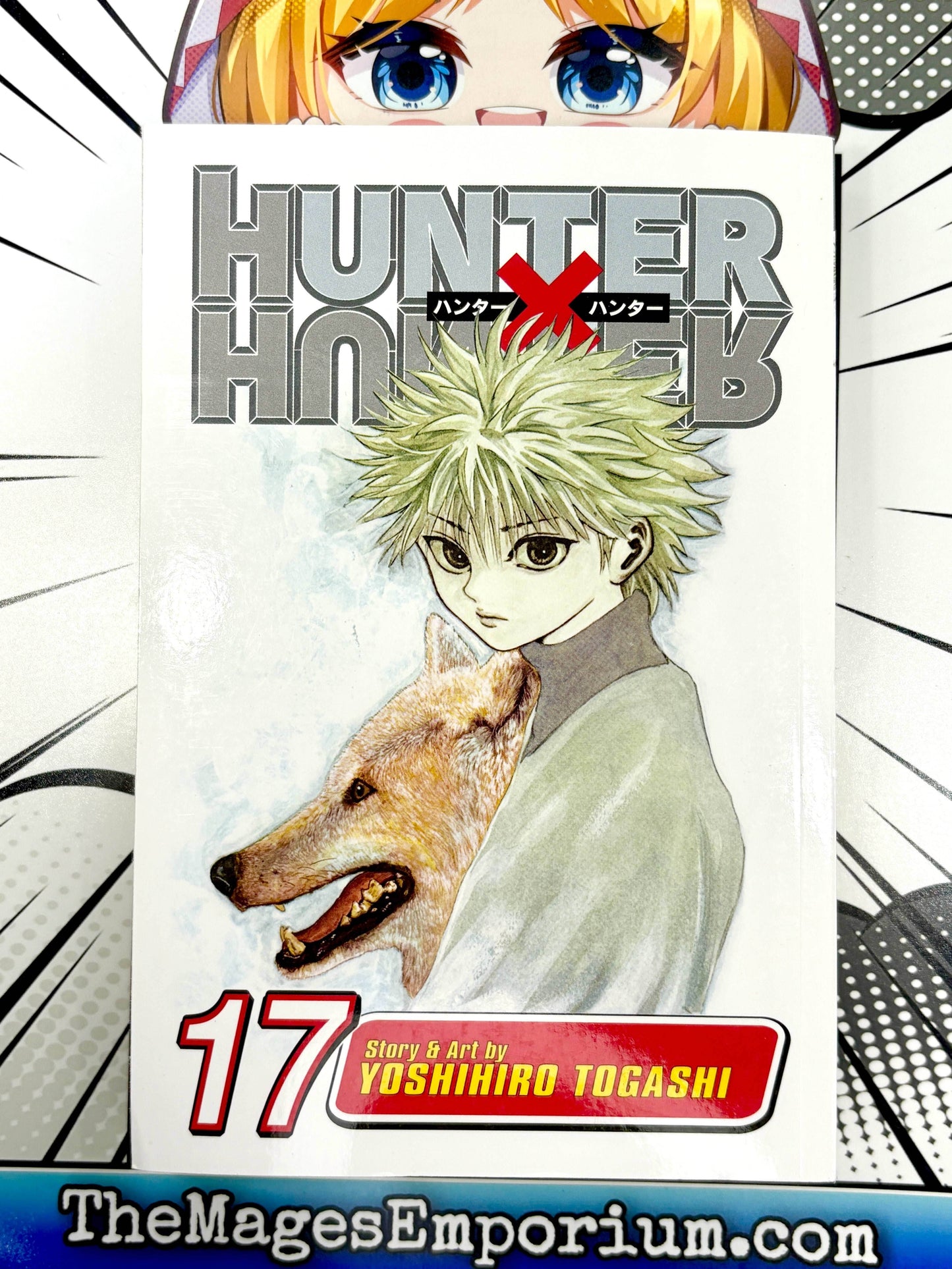 Hunter x Hunter Vol 17 - 