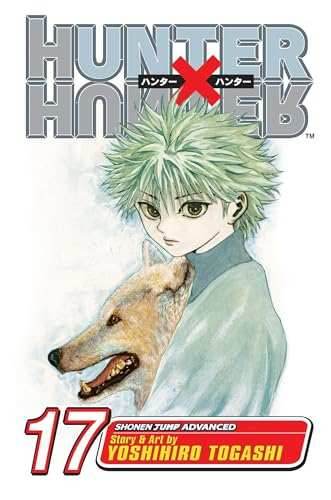 Hunter x Hunter Vol 17 - 