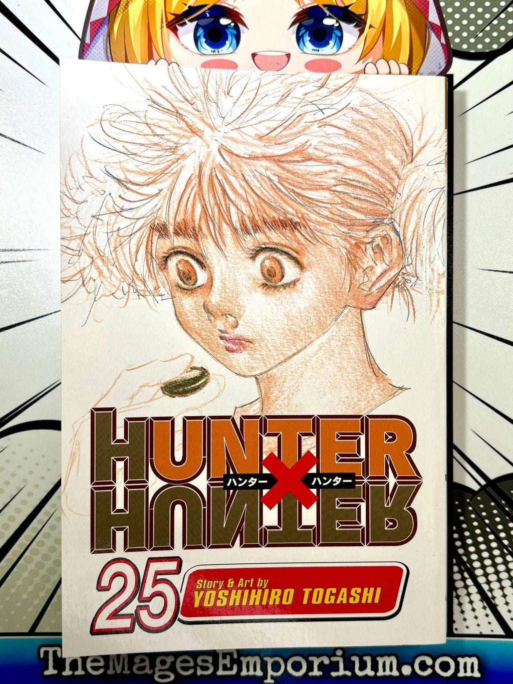 Hunter x Hunter Vol 25 - 
