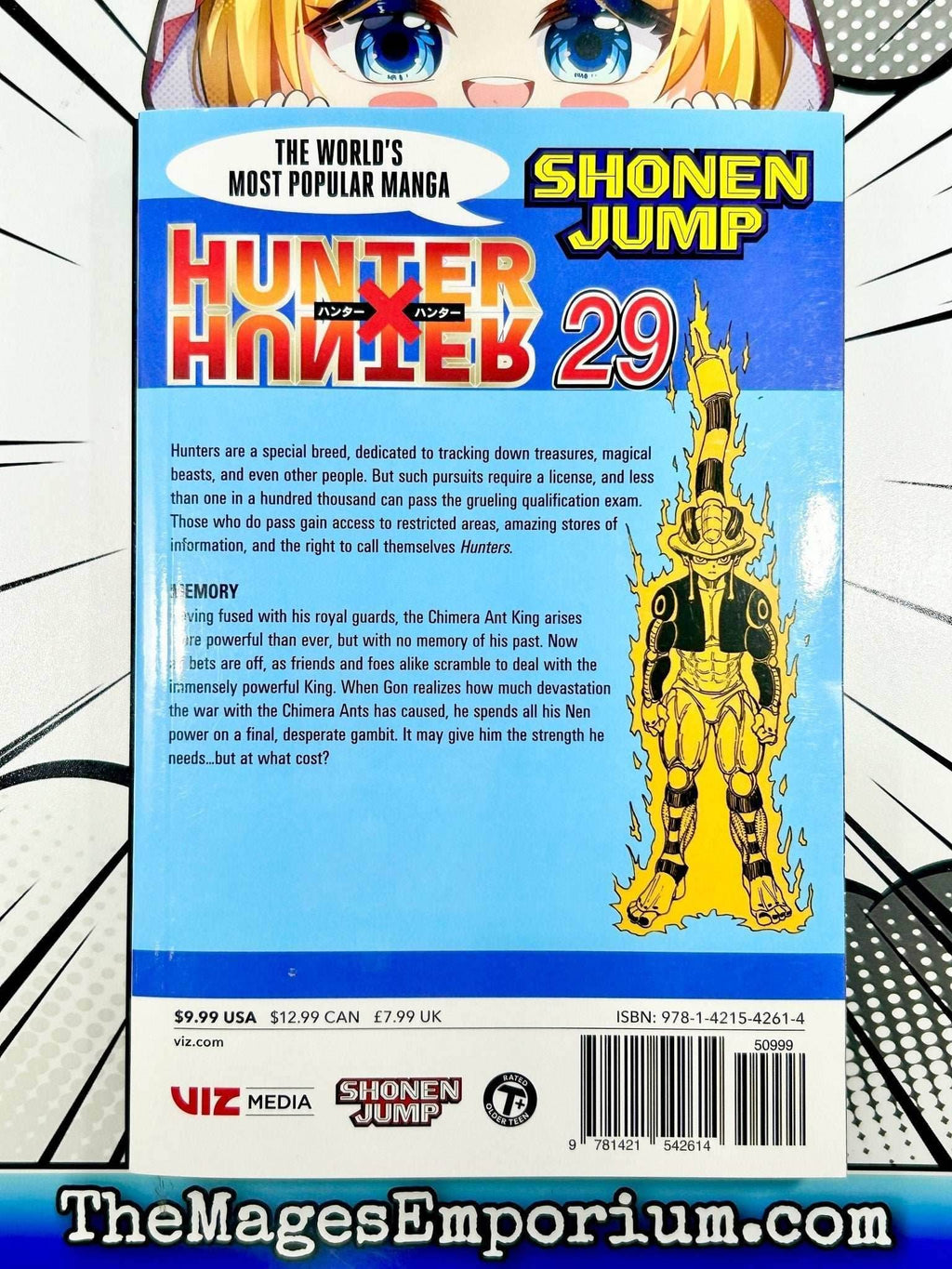 Hunter x Hunter Vol 29 - 
