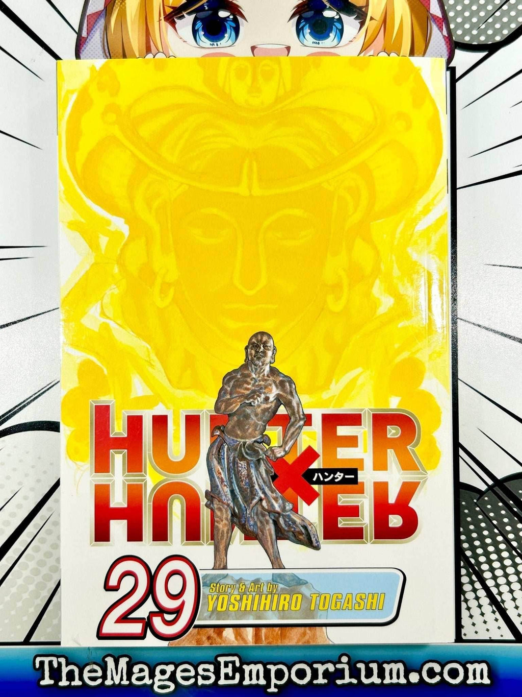 Hunter x Hunter Vol 29 - 
