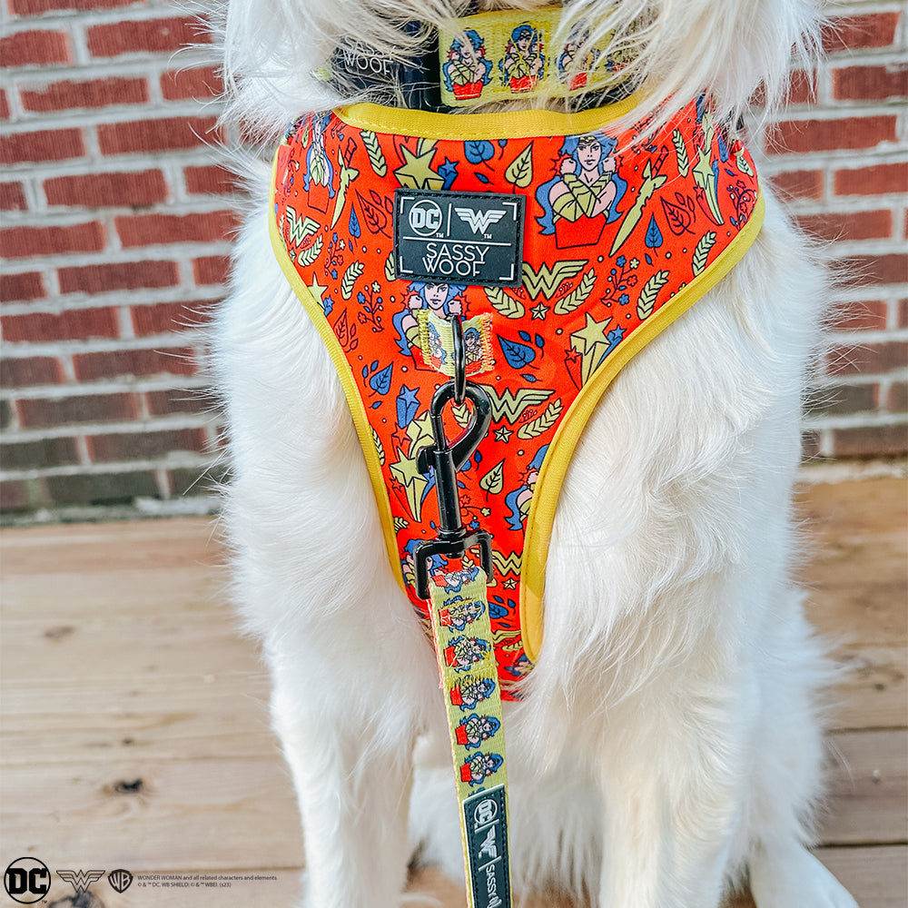 Dog Collar - Wonder Woman™