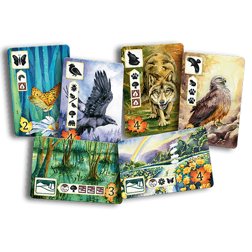 Meadow - 