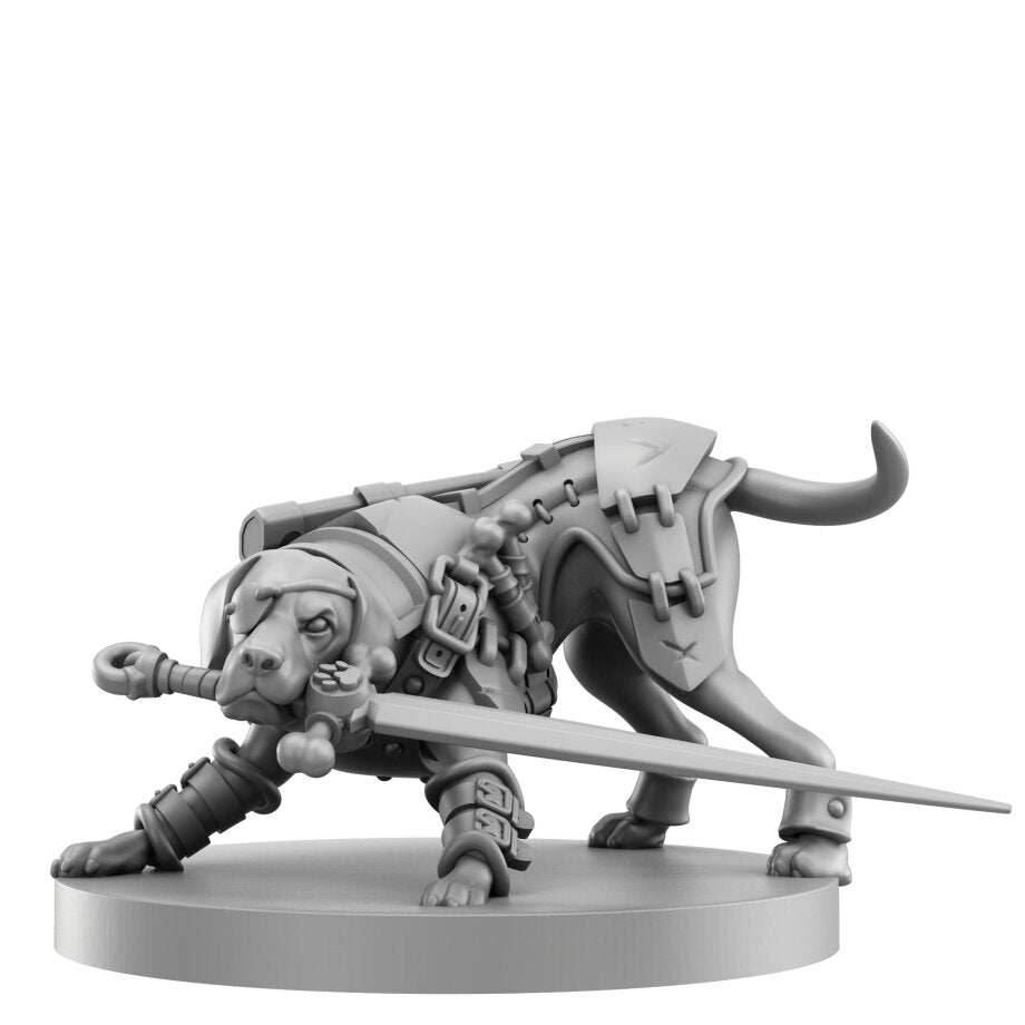 Animal Adventures RPG Starter Set - 
