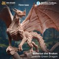 Midorius the Broken, Juvenile Green Dragon - 