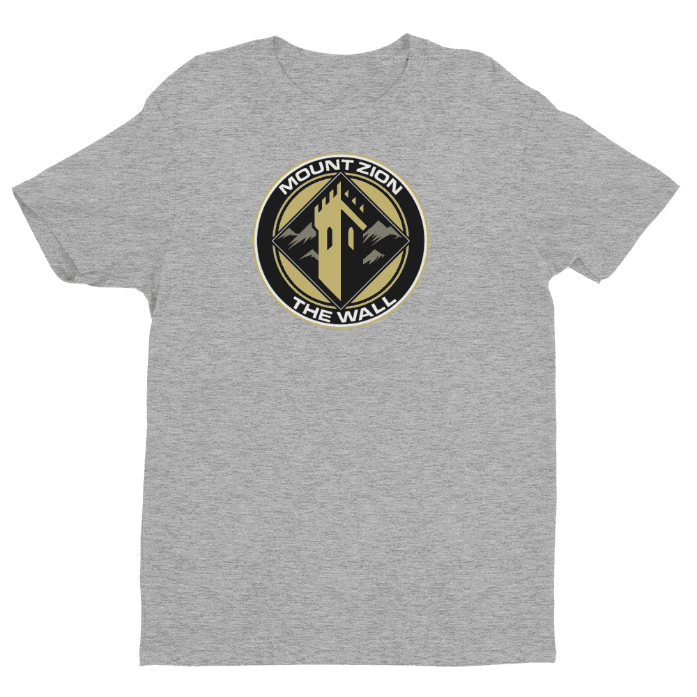 Short Sleeve T-shirt - Heather Grey / XS