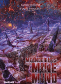 Meanderings of the Mine Mind - 