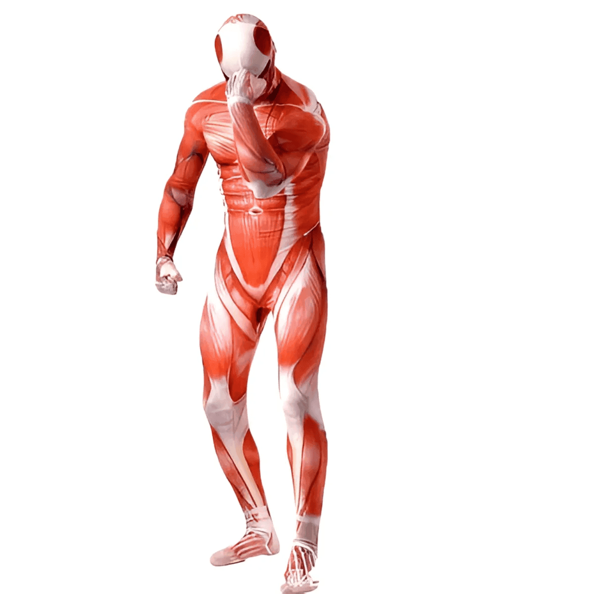 Muscle Man Costumes - XXL / Attack On Titan