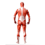 Muscle Man Costumes - XXL / Attack On Titan