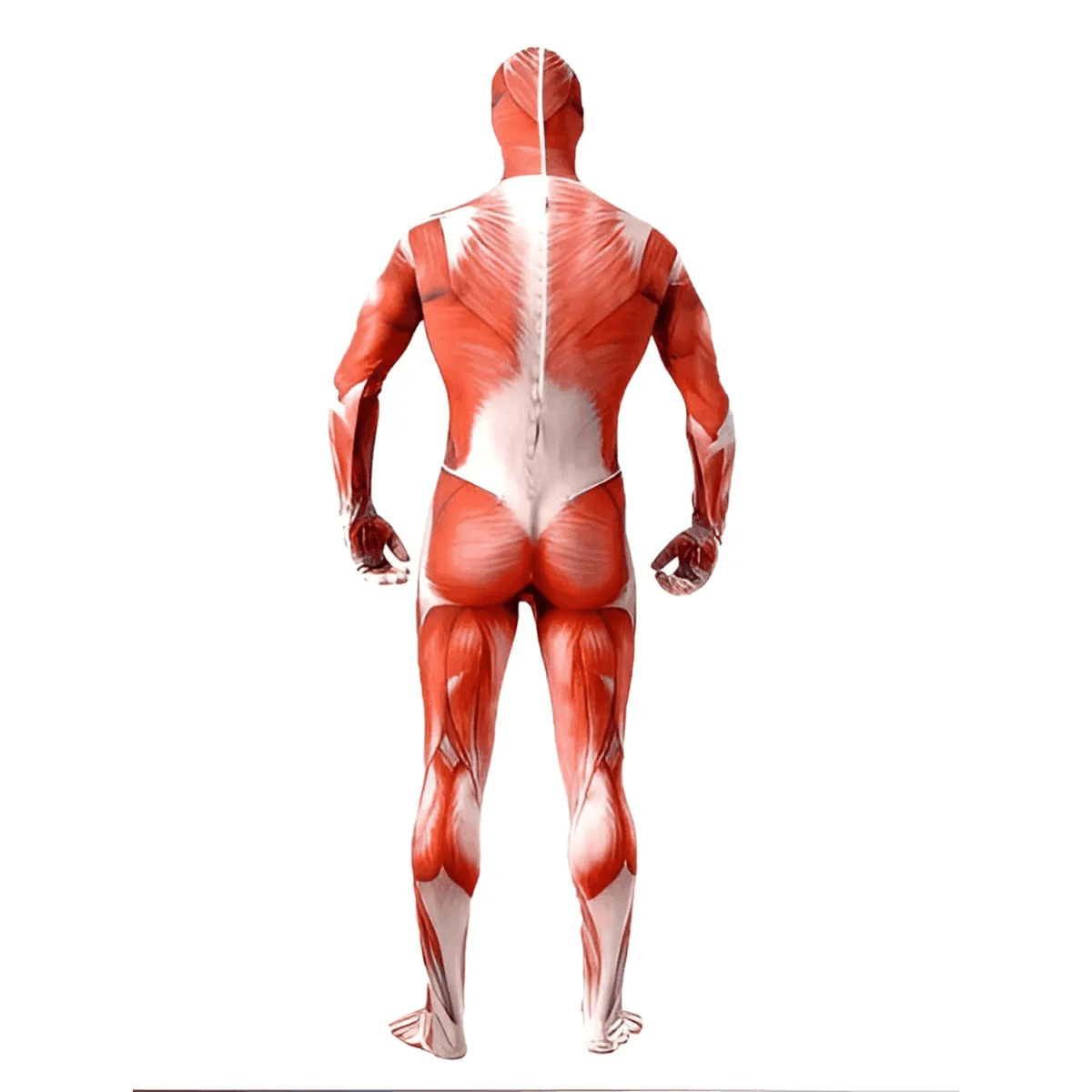 Muscle Man Costumes - XXL / Attack On Titan