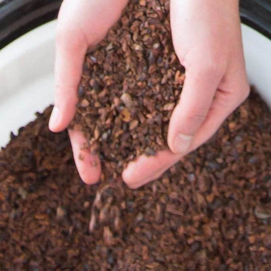 Cocoa Nibs - 