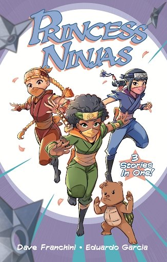 Princess Ninjas Graphic Novel