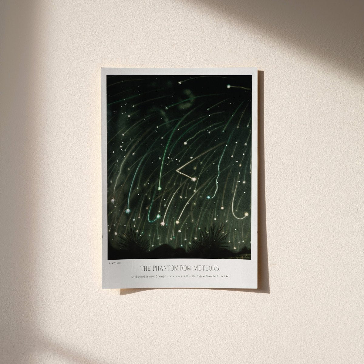“November Meteors” Celestial Art Print
