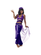 Adult Purple Belly Dancer Costume