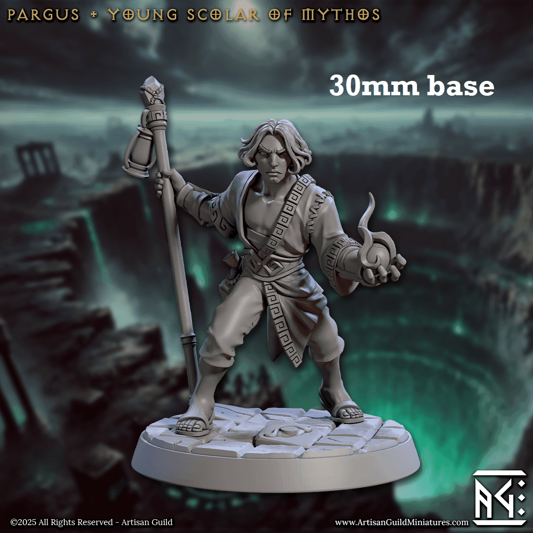 Pargus, Young Scholar of Mythos (Male Human Wizard) - 