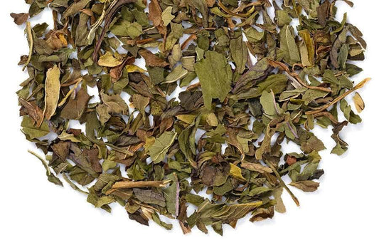 Peppermint Loose Leaf Tea - Tea Lover
