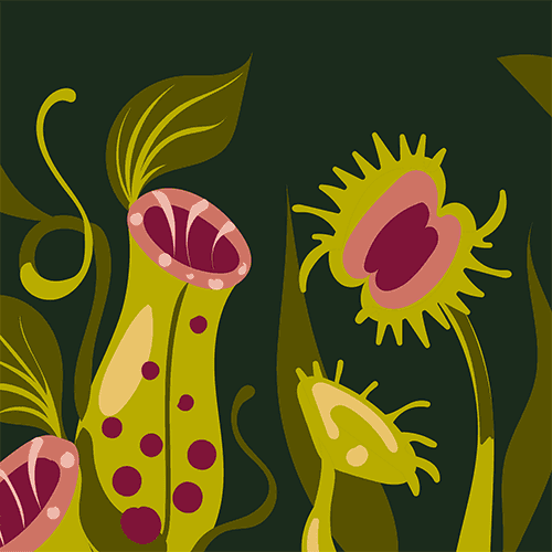 Pitcher Plant Crew Socks - 