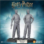 Harry Potter Miniatures Adventure Game: Weasly Twins Pack - 