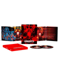 Punisher: War Zone - Limited Edition Steelbook (4K Ultra HD + Blu-ray + Digital)