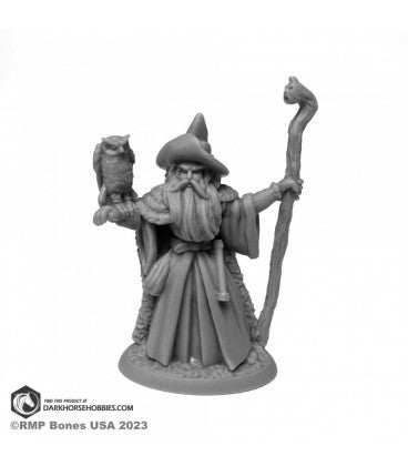 Reaper Legends: Amathor the Arch-Mage - 