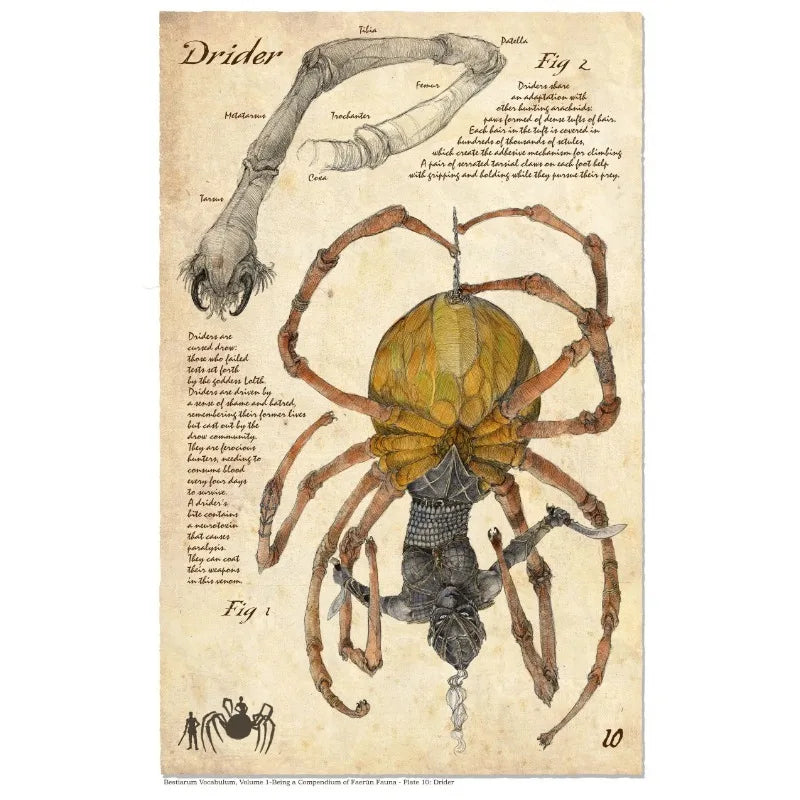 Retro D&D Ancient Mythological Folklore Species Bestiary Monster Animals Poster Wall Pictures Canvas Painting Home Decor Gift