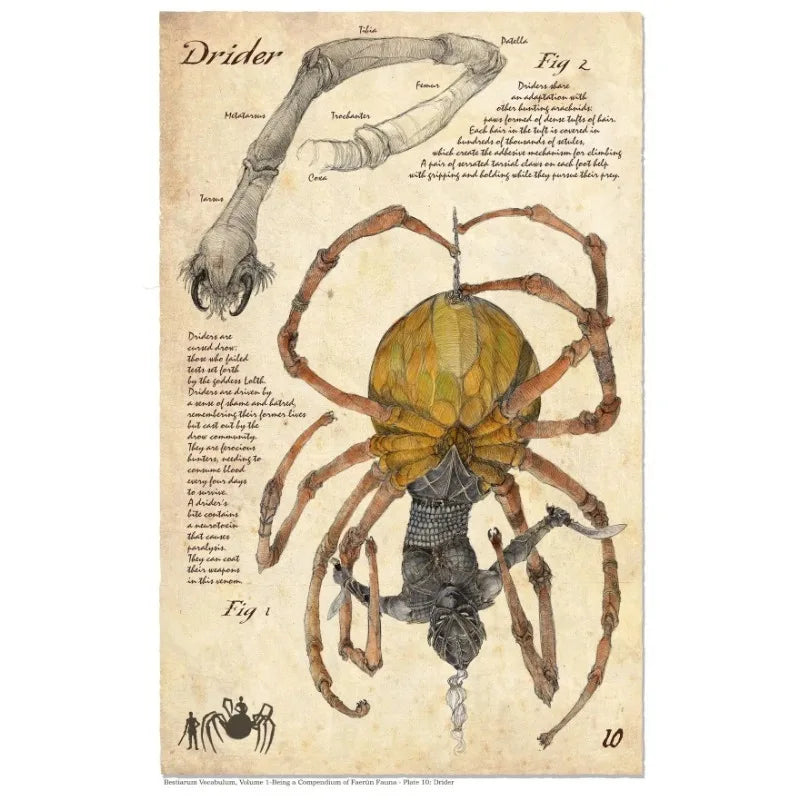 Retro D&D Ancient Mythological Folklore Species Bestiary Monster Animals Poster Wall Pictures Canvas Painting Home Decor Gift