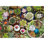 Puzzle: Succulents - 
