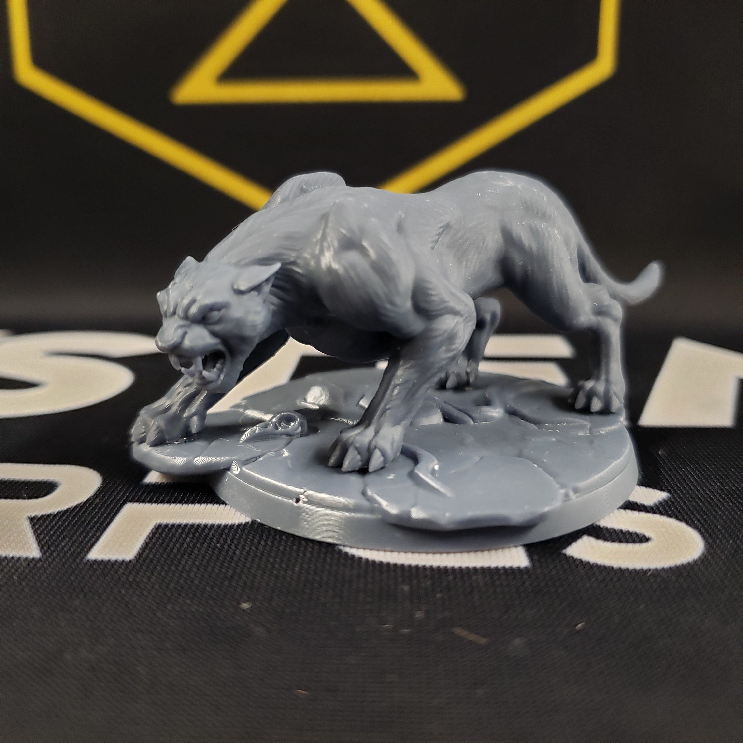 Wild Veiled Panthers