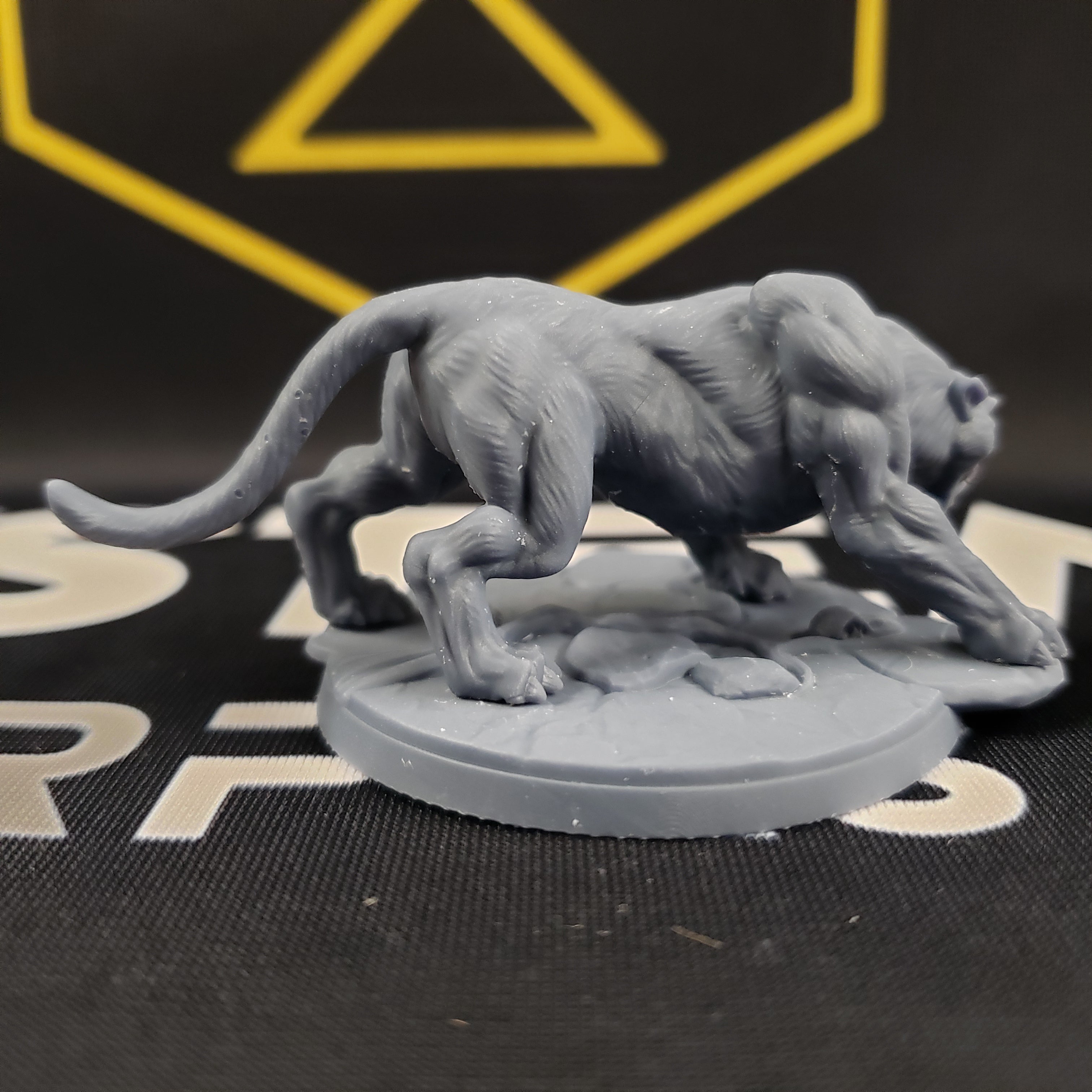Wild Veiled Panthers