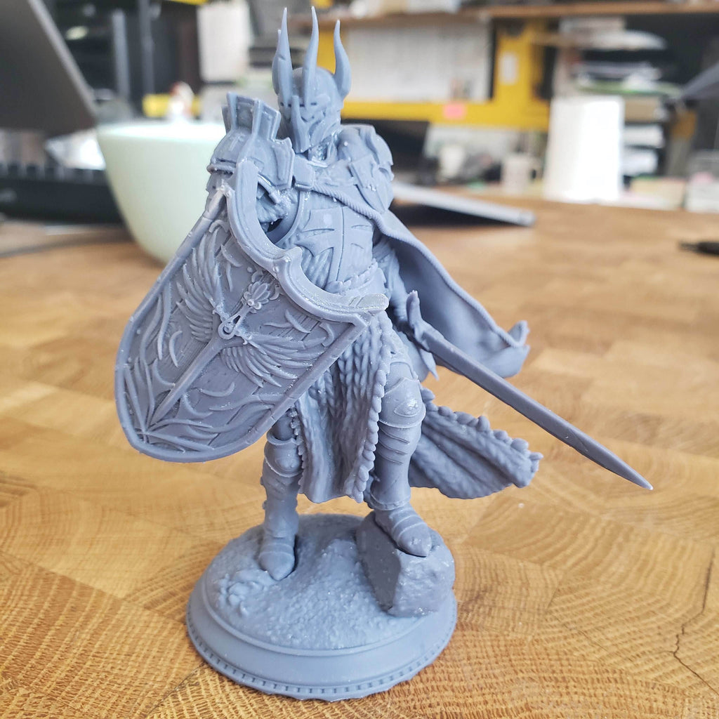 Caedes, Erdydion's Chosen Paladin (Male Paladin) - 32mm Scale
