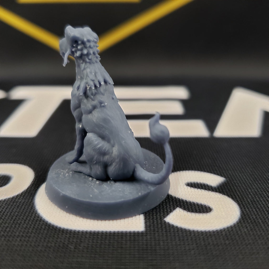 The Last Blink Dog
