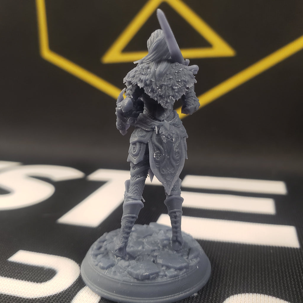 Celathyn, Nais ro Nan Thalias (Female Elf Paladin)