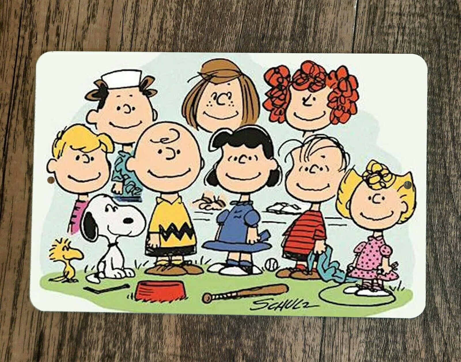 Peanuts Charlie Brown and the Gang 8x12 Metal Wall Sign #1 Classic Cartoon TV Show