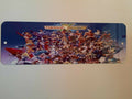 Namco X Capcom Arcade 4x12 Inch Metal Wall Sign for Fighting Video Games