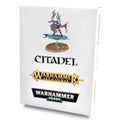 Warhammer: Disciples of Tzeentch - Fluxmaster, Herald of Tzeentch - 