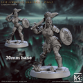 Shieldwarden Dracona (Female Human Fighter) - With Armor
