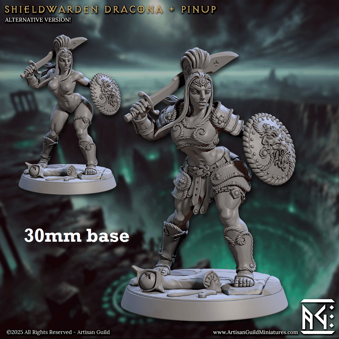 Shieldwarden Dracona (Female Human Fighter) - With Armor