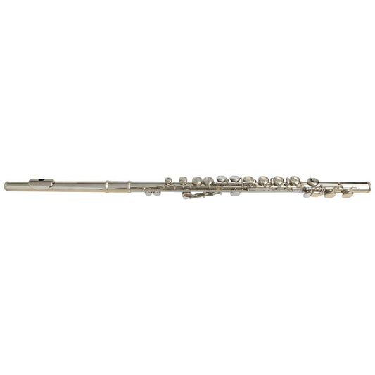 Silver Flute with Soft Case 16 Holes