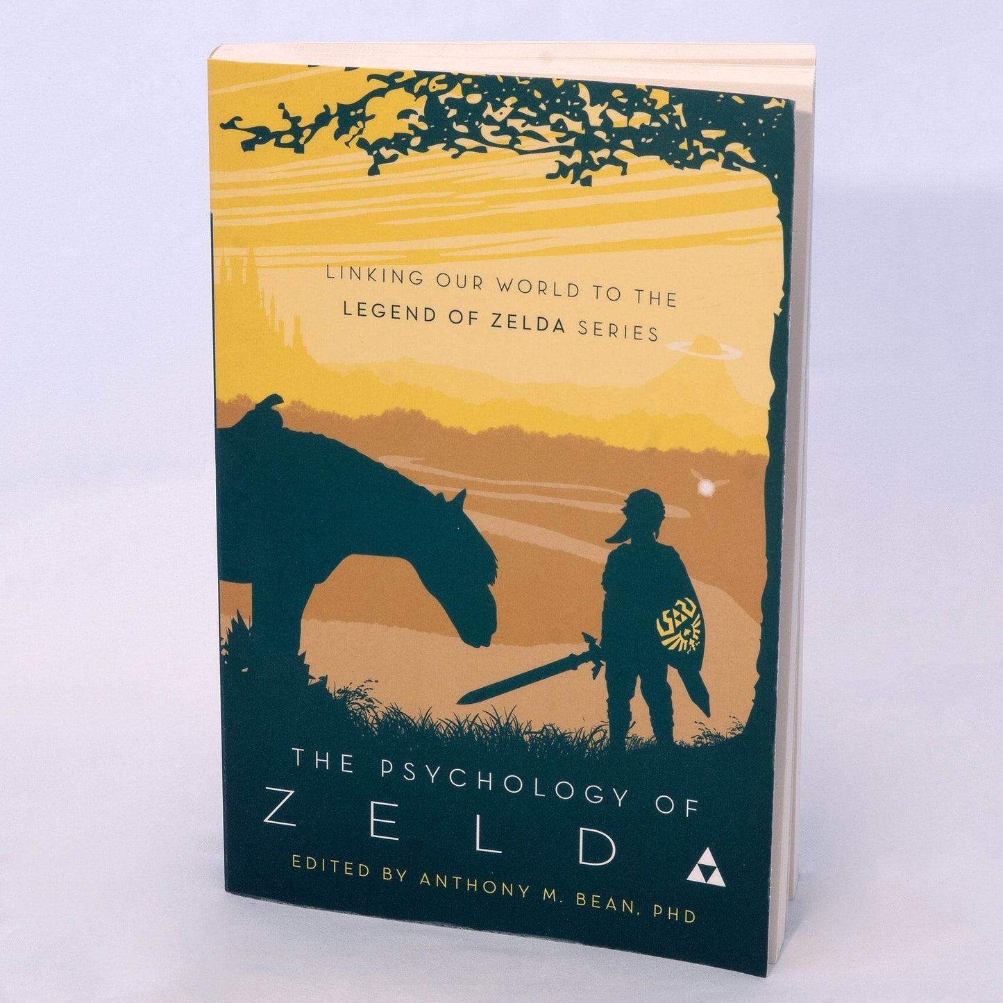 The Psychology of Zelda: Linking Our World to the Legend of Zelda Series - 